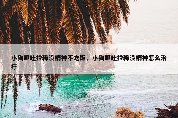 小狗呕吐拉稀没精神不吃饭，小狗呕吐拉稀没精神怎么治疗