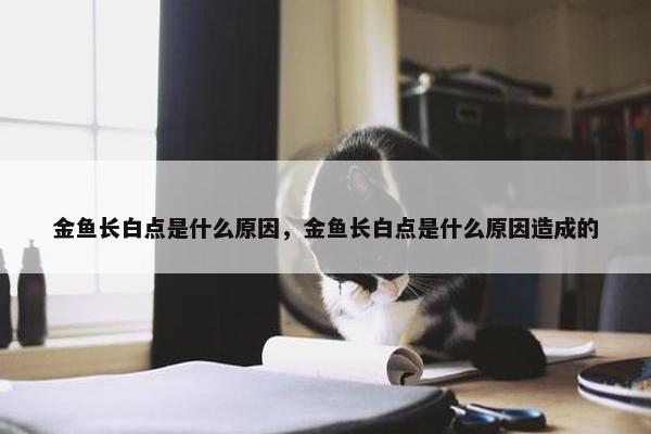 金鱼长白点是什么原因，金鱼长白点是什么原因造成的