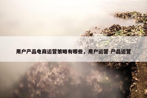 用户产品电商运营策略有哪些，用户运营 产品运营