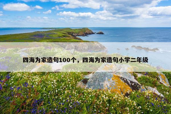 四海为家造句100个，四海为家造句小学二年级