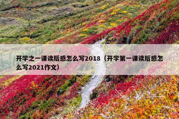 开学之一课读后感怎么写2018（开学第一课读后感怎么写2021作文）