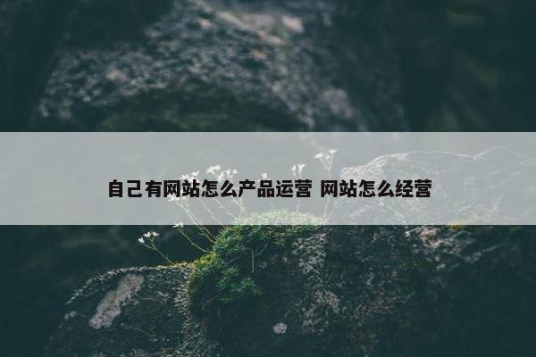 自己有网站怎么产品运营 网站怎么经营