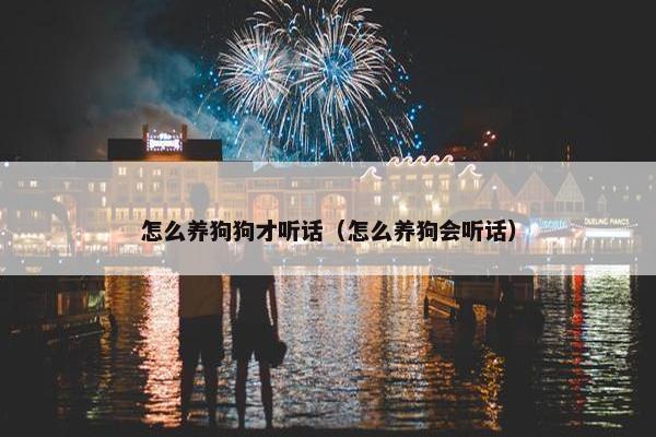 怎么养狗狗才听话（怎么养狗会听话）