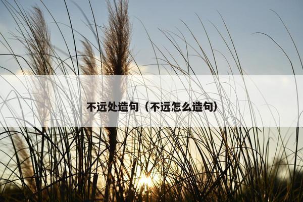 不远处造句（不远怎么造句）