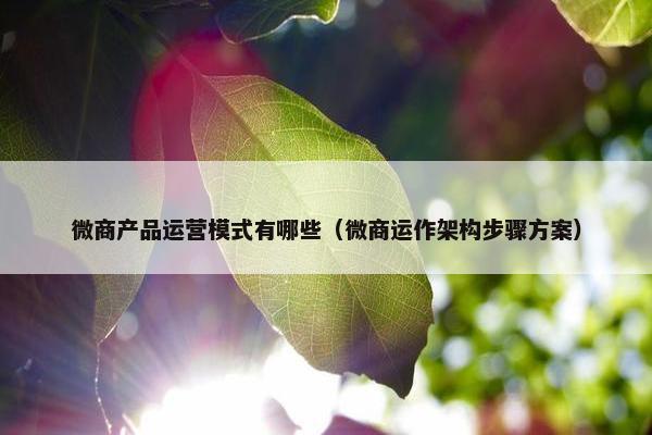 微商产品运营模式有哪些（微商运作架构步骤方案）