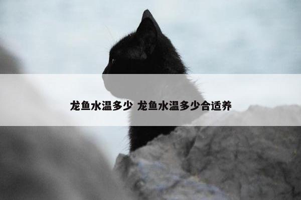 龙鱼水温多少 龙鱼水温多少合适养