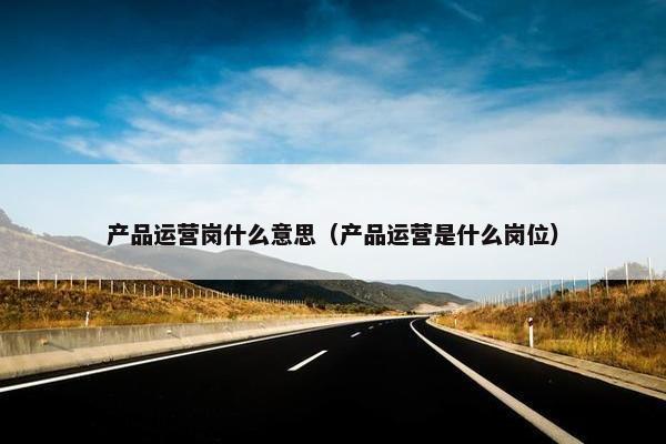 产品运营岗什么意思（产品运营是什么岗位）