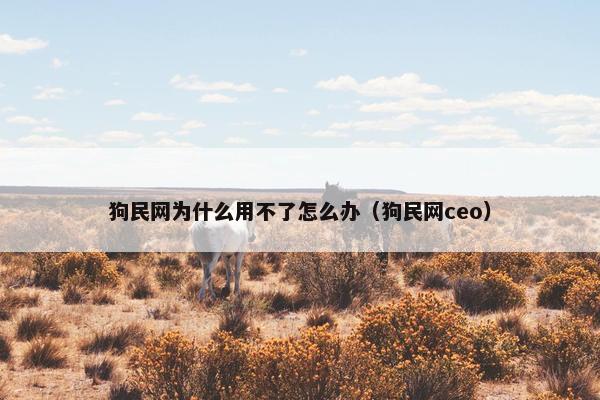 狗民网为什么用不了怎么办（狗民网ceo）