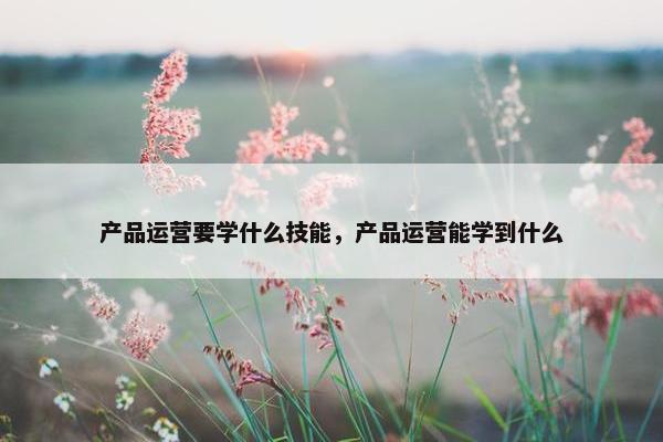 产品运营要学什么技能，产品运营能学到什么