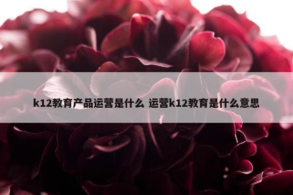 k12教育产品运营是什么 运营k12教育是什么意思