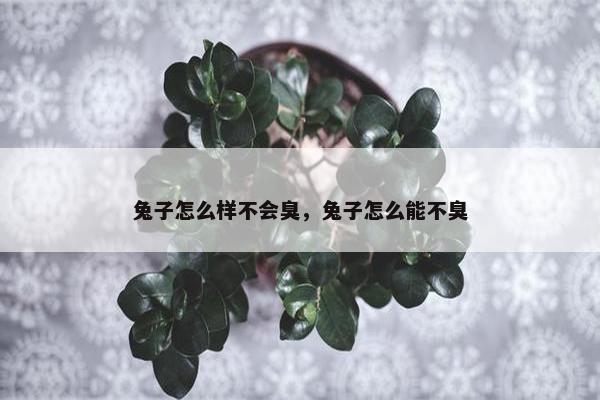 兔子怎么样不会臭，兔子怎么能不臭